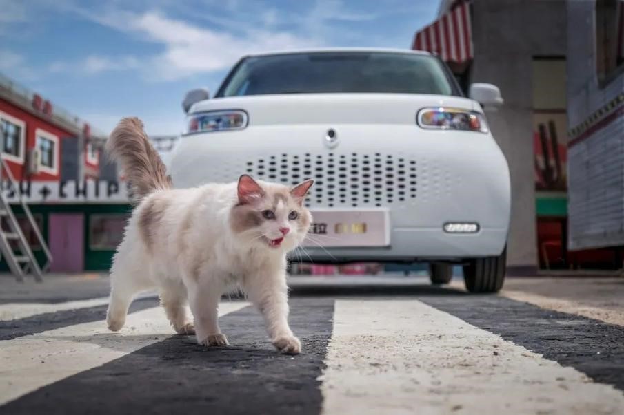 预售7.58万起 欧拉白猫将于7月15日上市